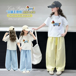 女童夏季套装2025新款洋气儿童短袖休闲夏装大童夏款直筒裤两件套