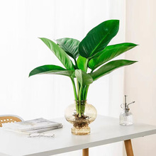 ˮ�������G�q�҃Ⱥ��B�Gֲ�k�����͏d���Ժ��s�ҾӔ[��������