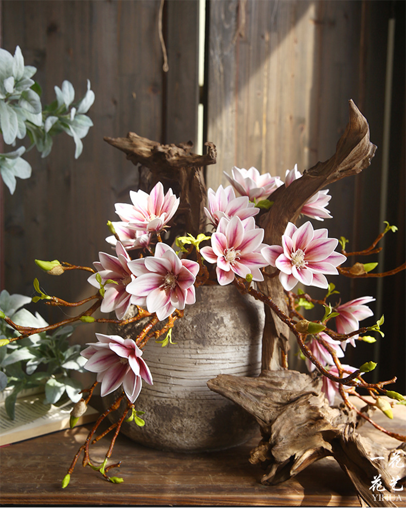 Three-headed Magnolia 1