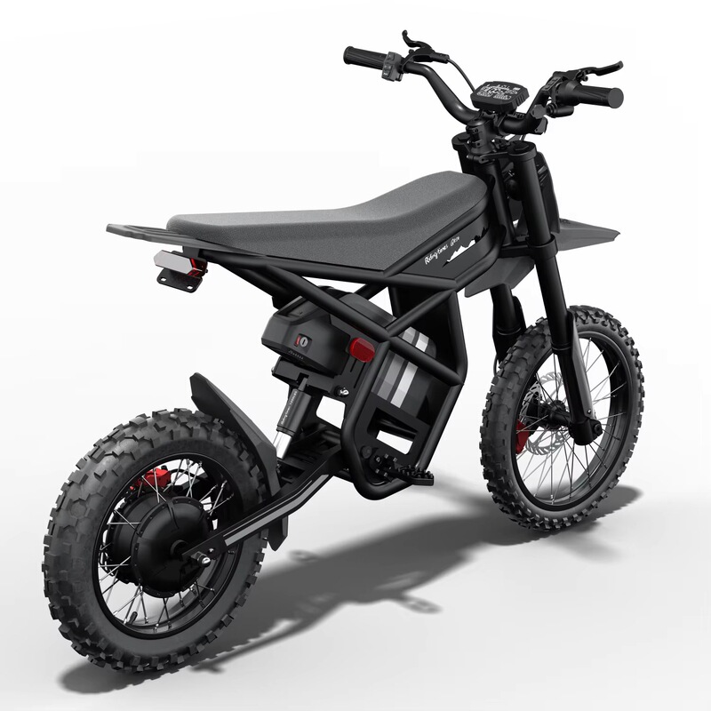 Cross-Border Eu Stock Gt54 Pro 3000W Electric Mountain Bike Electric Bicycle