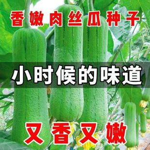 �z�ϷN�Ӱ׽z�ϰ�Ƥ�L����ԭ�b�߲˴�ȫ�͟����߮a��Ʒ�N