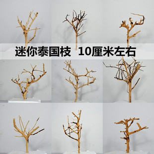 泰国枝造景树枝南美缸巴西莫斯树草缸造景沉木杜鹃根按斤细枝沙盘-阿里巴巴