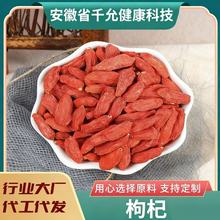 【新货直销批发】枸杞子大颗粒瓶装袋装红枸杞250克规格