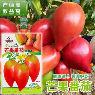 ����â���۷��ѷN�Ӵ��＾��ˮ���߲������Թ�ζɳȿ�����t���N��