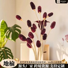 ���ܸɻ�����С����������������ܛ�b�廨�[������ins�L�߼��ٴ�