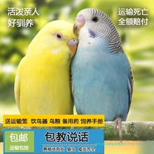 �W�^���B���ﻢƤ�W�^�fԒ���B�����B녰�С�ͼ��B���PС�B���w