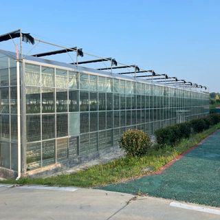 玻璃温室工程 防病虫害种植大棚 洁净生产钢架加工承建 鲁源温室