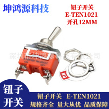 ť�ӿ���E-TEN1021Ť��ҡ�ۿ��� 2��2��ҡͷ����15A250V 12MM��װ