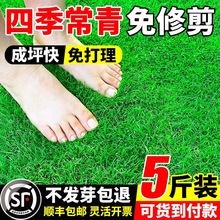 ���ѷN��ȫ�ļ������޼��������R����ͥԺ��̺�ݸ���é��ƺ�N��