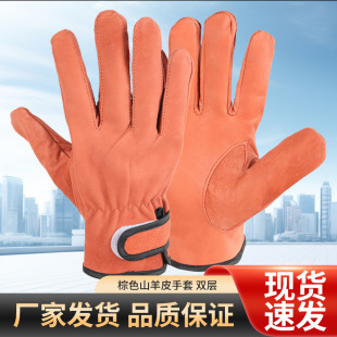 ��ɫ�p����Ƥ����˾�C���׺������C�ڱ��̿����͸�����׏S�ҿ羳