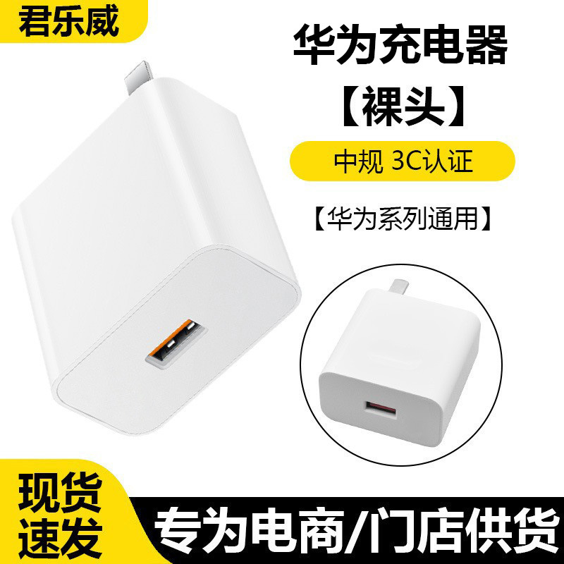 [120 Super Flash Charging Head] Authentic