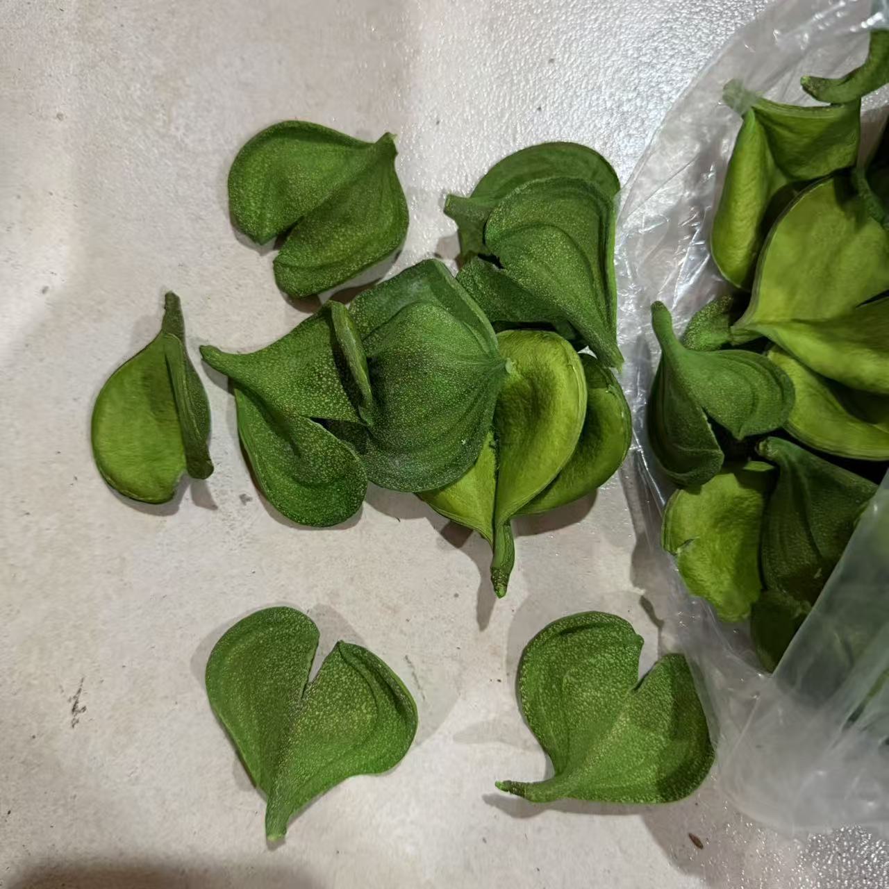 Orejas de elefante verde