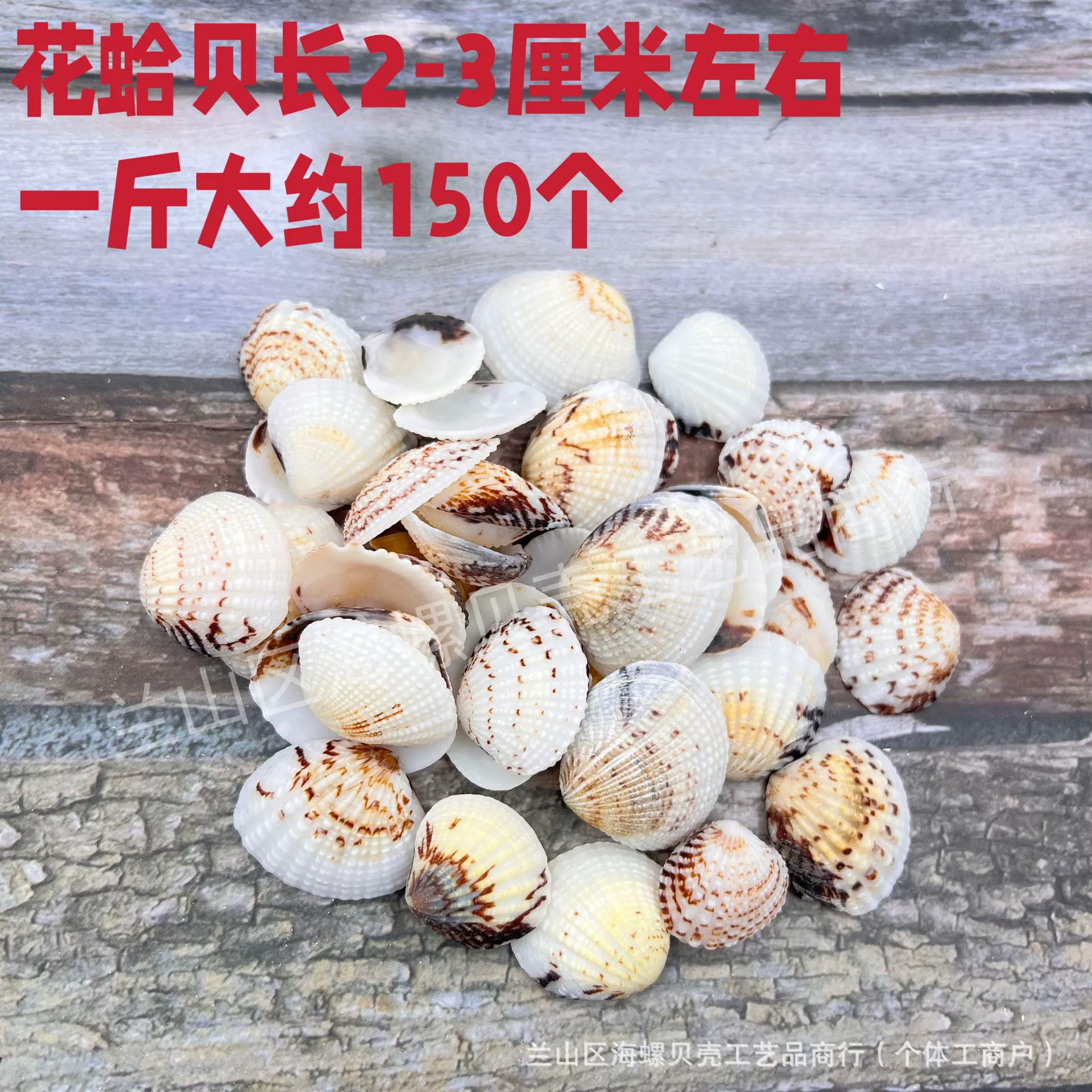 Shell Natural Shell Conch Stars Drifting Bottle Shell Crafts Wholesale Diy Handmade Shell Materials