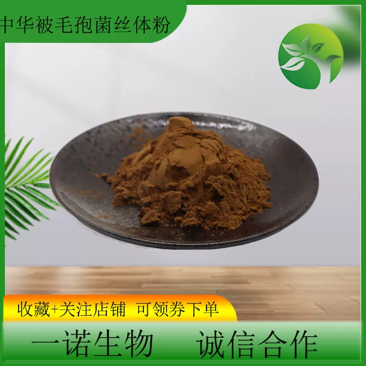 蝙蝠蛾被毛孢菌丝体粉现货冬虫夏草菌丝粉无中间商中华被毛孢菌粉