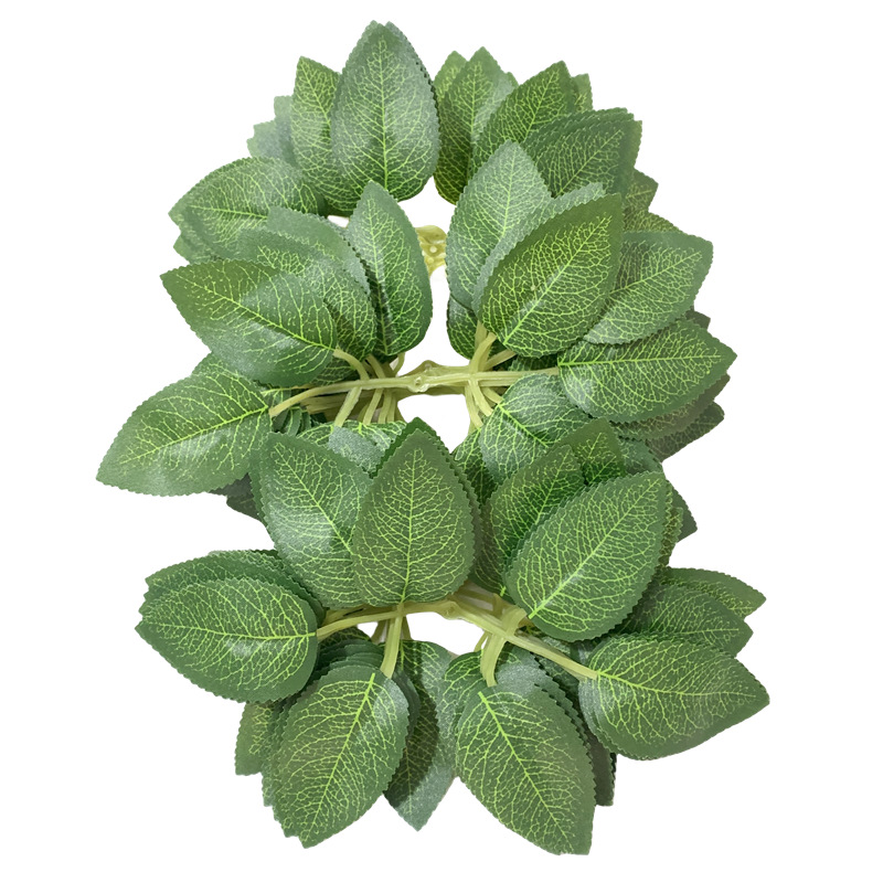 微信图片_20240304091705_副本