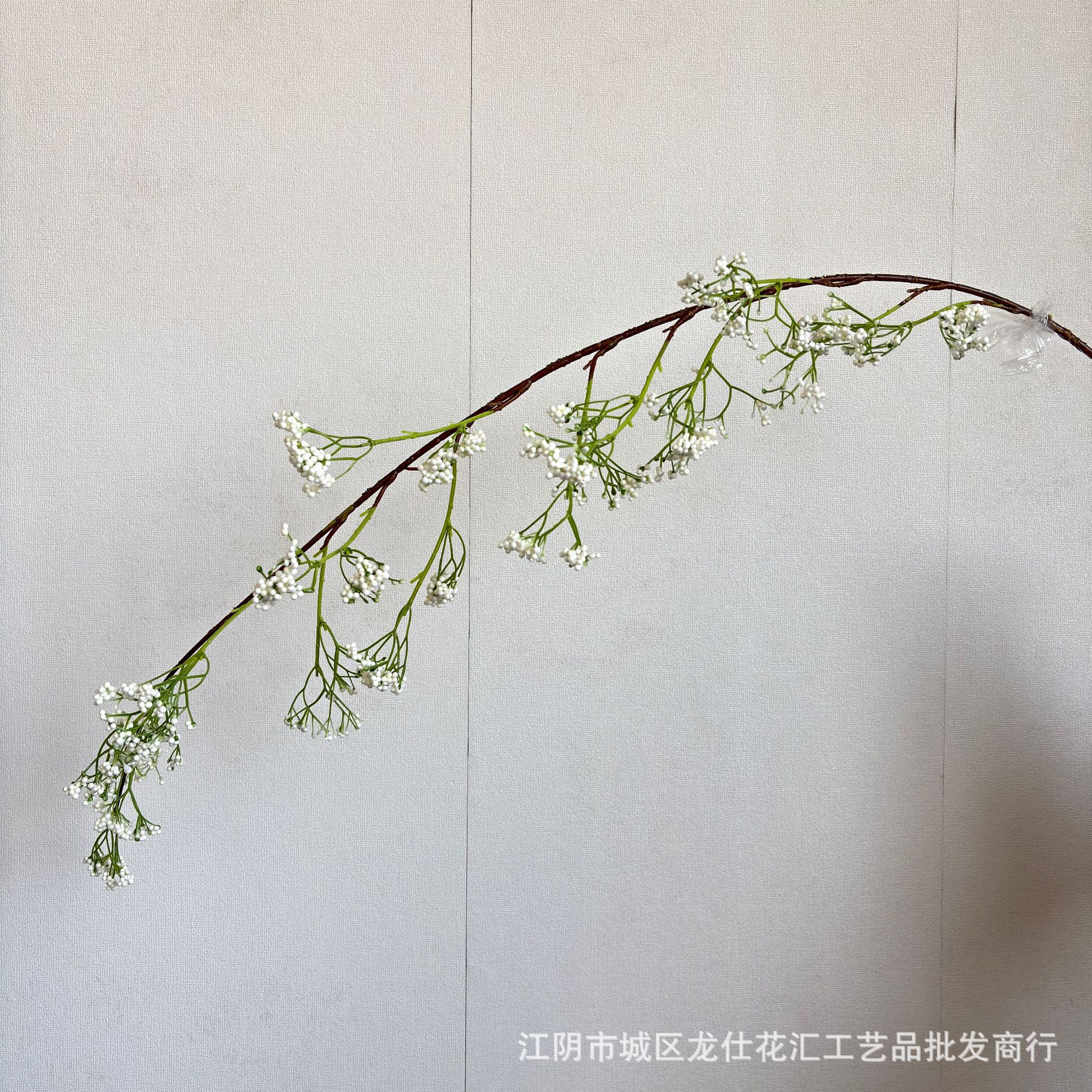 산으로 돌아오는 거품 과일
