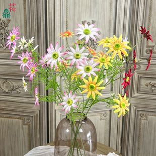 6�^С̫ꖾ� ��֦����� Ī�λ��@�������� ��c�ٻ�·���廨����