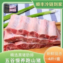精品盒装肋排4斤净重农家散养土猪无脊骨无软骨猪排包装绿色食品
