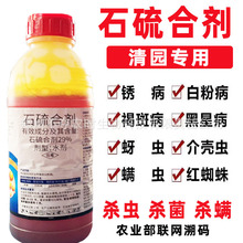 ���@��@��ʯ��τ��������\��@29%����򻚤�x�׷۲�ˮ��1000g