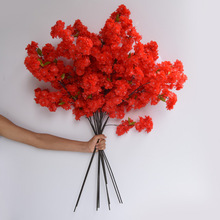 ʽc滨һ֦÷֦L֦ƿ辰