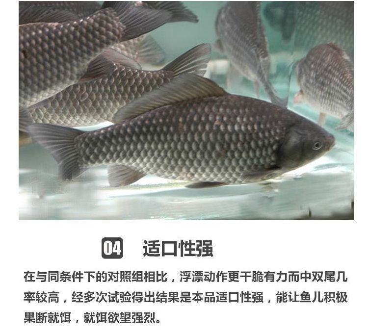 https://www.toonies.cn詳情圖片_09.jpg_800x800.jpg