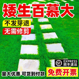 ��Ľ����Ѱ������޼�e��ͥԺ�G���Ͳ�̤�͟ẵ���@С�^��ƺ�N��