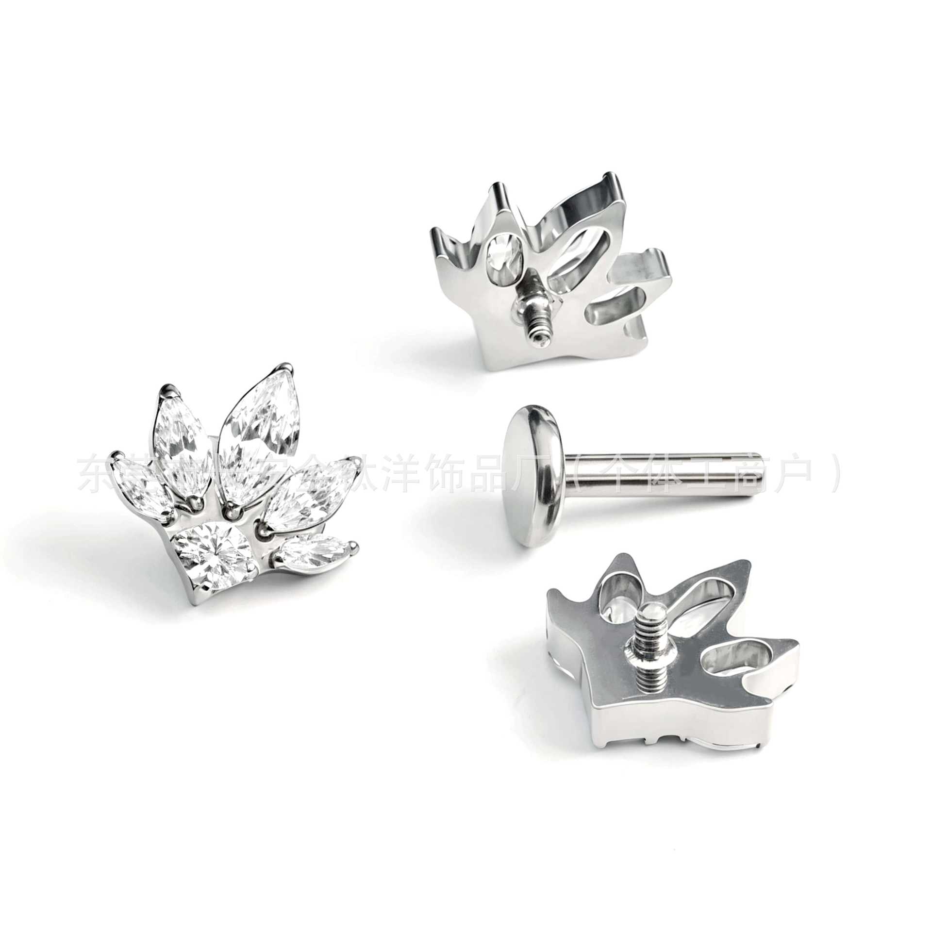 Pointed titanium steel lip stud product view