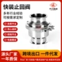 快装快速立式止回阀
