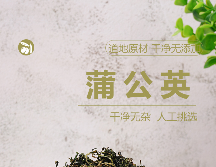Dandelion Leaf Tea (Taraxacum mongolicum) — Dried Herbal Tea, 50g Jar key features