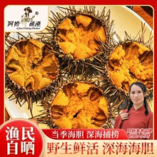 ꖽ����ɺ���Ұ�����r��đ�F����đ�༃��đ��đ�S��đ������l