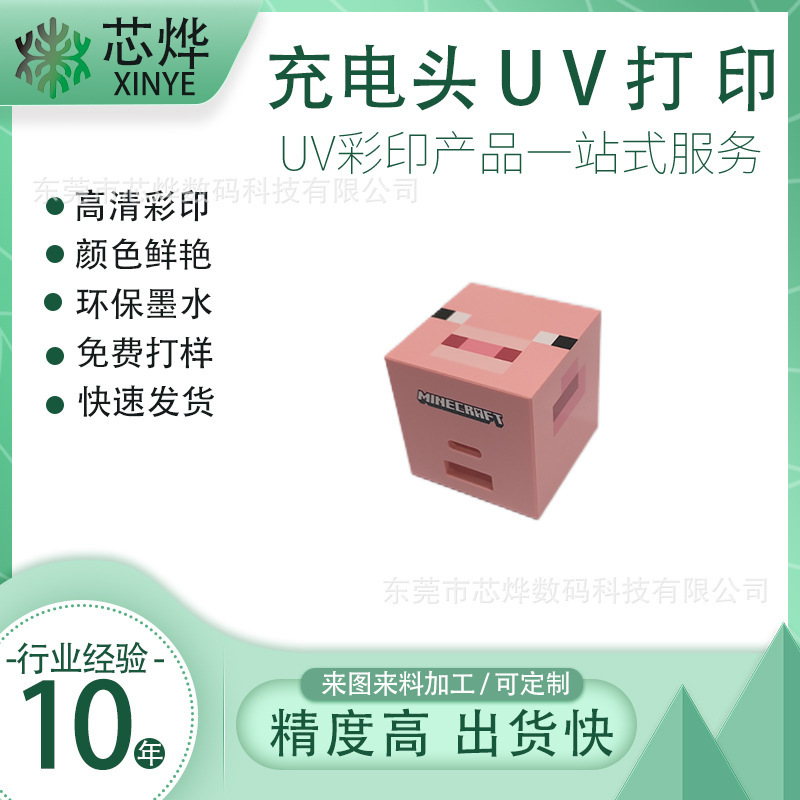 Uv Printing Plastic Shell with Printed Uv Patterns, Charging Head with Pu Leather Digital Printing, Case Graphic Printing