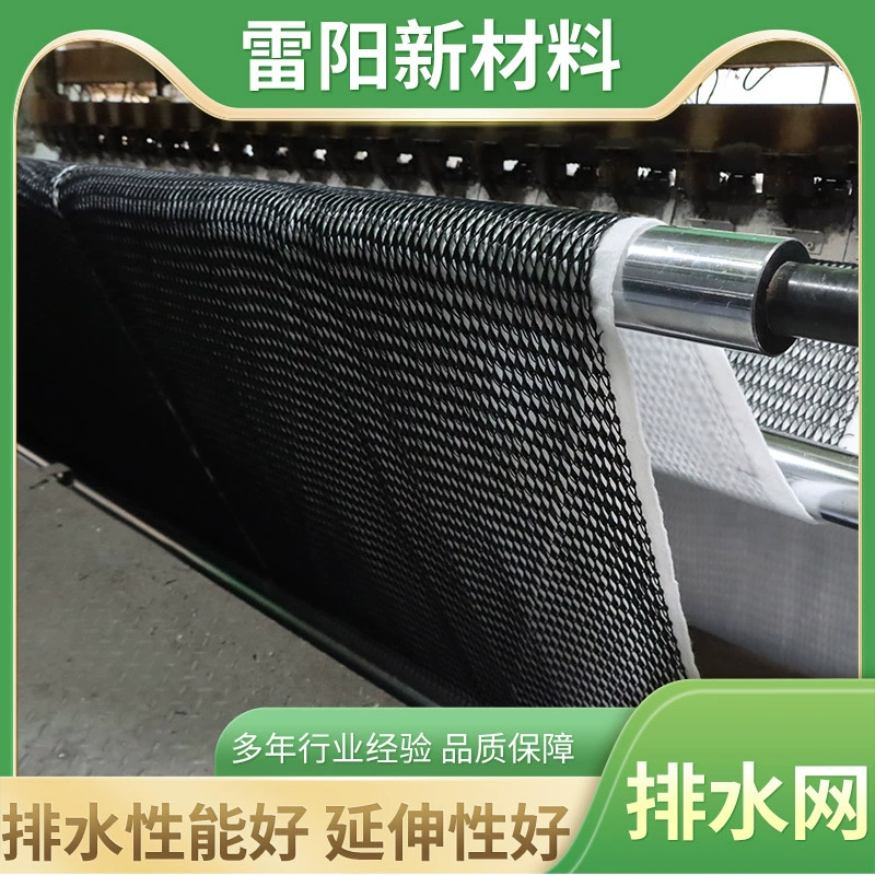 Трехмерная композитная дренажная сеть Туннель Крыша Озеленение дренажной сети HDPE мусорная свалка Железнодорожная дренажная сеть