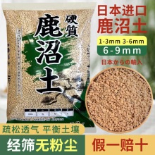 ����¹����������N�m�����ԷNֲ�����1-3mm3-6mm6-9mm16��ֲ��