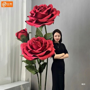 �ٽ�޴����ֹ����w��ˇõ�廨EVA�����̈���������b�������