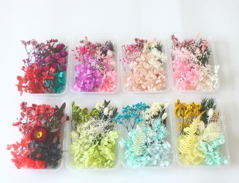 QQ图片20210312201247