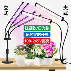 太阳光定时植物补光灯多头全光谱绿植蔬果花卉多肉灯夹子式落地式