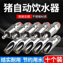 iˮԄiˮBֳιˮˮ첻PBiO