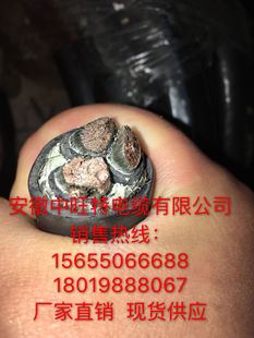 CJ86/SC������|�S�� CJ86/SC������|�r��