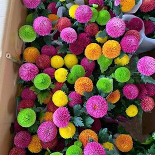 ƹҾջNױļ_Сr׷N҃⻨ԻN