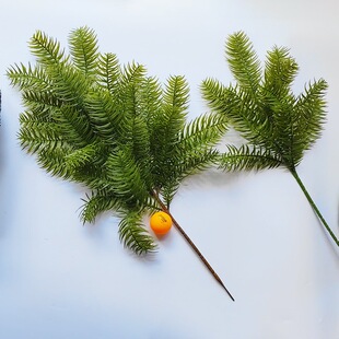 ��֦ˮɼ�Fɼ�yɼɼ��ɼ�Sɼ�ɘ��~�bGֲ�����~�Ӽ��~