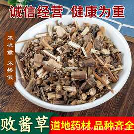 中药材零售 败酱草臭败酱 黄花败将草  散装 新鲜干货无硫