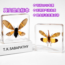 �挍���x�˱��羳���u�����˱���֬��ˇƷ���μo��Ʒ�[������Y��