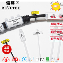 ���������ڱ�������Ʊ�ʾ������ʾ������151-41119  AT1