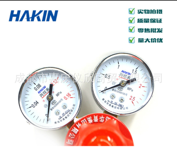 正品青岛华青丙烷减压器YQW-02减压器 减压仪器表 减压阀 减压表