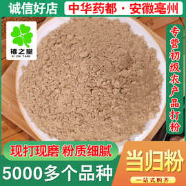 新货当归粉批发零售 源头货源量大价优农产品免费现磨 可代发当归