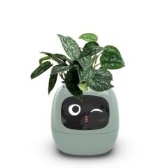 ペットロボットディスプレイガイド人工知能クロスボーダーケアギフト植木鉢温度AIマシン植栽植木鉢