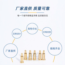 2022pogopinᘆ^ᘙCpogopinֱ늳؏Ƭ