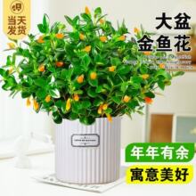 ���~���m���Ԏ������҃Ȼ��ܾGֲ�k����������լֲ���辰�ļ����B