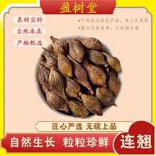 盈树堂连翘 50g / 袋 道地黄花条连壳青翘落翘黄奇丹旱莲子药食同
