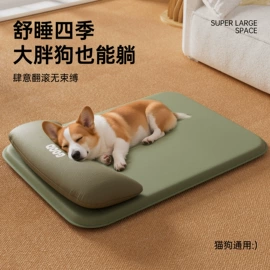 狗狗窝/笼/垫;猫猫玩具;猫猫窝/笼/垫